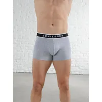 SCHIESSER Panty SCHIESSER Gr.: 6, grau Herren Unterhosen