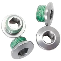 Sram Kettenblattschrauben XX1 grau