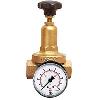 Riegler Druckregler DRV 200, Standardausführung, G 1/2, 1,5 -