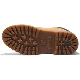 Timberland Stone Street Herren Wheat 38