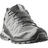 Salomon XA Pro 3D V9 GTX Damen Silber 38