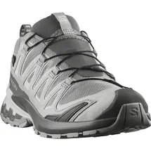 Salomon XA Pro 3D V9 GTX Damen Silber 38