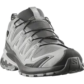 Salomon XA Pro 3D V9 GTX Damen Silber 38