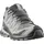 Salomon XA Pro 3D V9 GTX Damen Silber 38