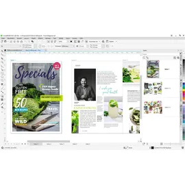 Corel Graphics Suite Special Edition 2021