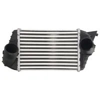 Thermotec DAF009TT