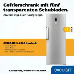 Exquisit Gefrierschrank GS380-NF-H-050E inoxlook | 380 l Nutzinhalt | Edelstahloptik