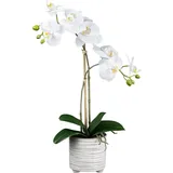 Kunstorchidee Orchidee Phalaenopsis Orchidee, Creativ green, Höhe 50 cm, mit real-touch-Blüten weiß