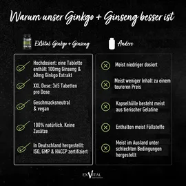 Exvital Ginkgo + Ginseng Tabletten 365 St.