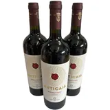 ANTICAIA Primitivo del Salento IGP 2023 (3 Flaschen) - Cantina San Donaci