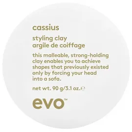 Evo cassius styling clay, 1-tlg.