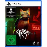 Stray (PlayStation 5)