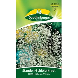 Quedlinburger Saatgut Stauden-Schleierkraut 'Weiss' Quedlinburger Blumensamen