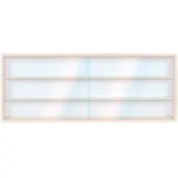 Vitrine Setzkasten Hängevitrine V-80.3a Sammlervitrine mit Spur - 80 x 30 x 8,5 - H0 & N Regal 80 cm 3 Ebenen mit Nuten von Alsino