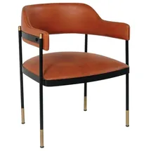 JVmoebel Esszimmerstuhl Leder braun