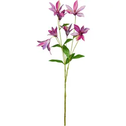 Dekozweig Clematis I Pink/Grün