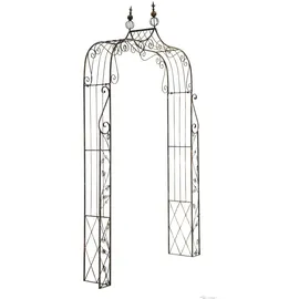 CLP Rosenbogen Aurora 0 x 0 cm Bronze