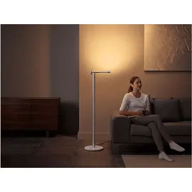 Dyson Morph 294681-01