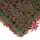 Mendler Wandfliese Sichtschutz Windschutz Verkleidung 50 x 50 cm rot 4 St.