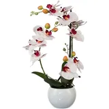 Kunstpflanze Phalaenopsis Orchidee, Creativ green, Höhe 42 cm rosa