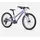 Trek Wahoo 20 Zoll violett