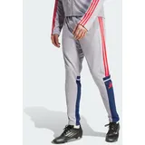adidas Squadra 25 Jogginghose Glory Grey/Team Navy Blue/Pure Ruby S