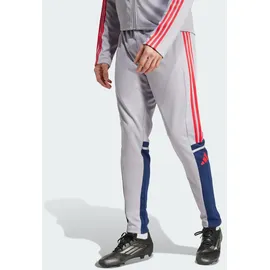 adidas Squadra 25 Jogginghose Glory Grey/Team Navy Blue/Pure Ruby S