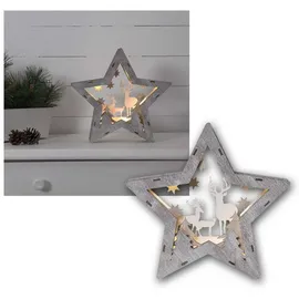 Star Trading LED-Dekostern Fauna 24 x 25 cm