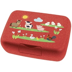 Koziol Lunchbox Farm 1 St