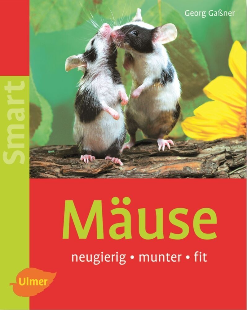 Mäuse - Georg Gaßner  Kartoniert (TB)