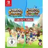Harvest Moon - The Lost Valley & Skytree Village - Collector's Edition (USK) (Nintendo Switch)