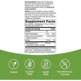 Nature's Way Nature's Way, Chlorofresh, flüssiges Chlorophyll, Minze,