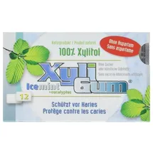 xyli gum Kaugummi - Icemint 16,8g