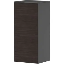 Hansgrohe Xevolos E Hängeschrank, 1 Tür, 54214730,