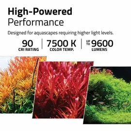 Fluval Plant Pro 4.0 60 l Aquariumbeleuchtung schwarz