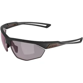 Alpina Nylos HR S1 21 gun matt