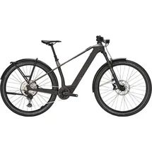 BULL'S Sonic SX Dakar 2026 29 Zoll Diamant monza grey/UD carbon L