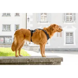 Curli Magnetic Belka Comfort Geschirr Schwarz S