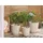 Beliani Blumentopf Kunstharz beige/weiß rund 37 cm Beige,