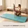 Eyepower Gymnastikmatte Klappbar 180 x 60 x 5 cm Mint