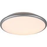 Trio Reality LED-Deckenleuchte Limbus Titanfarbig Ø 50 cm