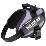 Julius-K9 IDC harness size. Mini-Mini purple 40-53 cm