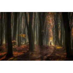 Fototapete PAPERMOON "Photo-Art PIET HAAKSMA, FRÜHE REITEN", bunt, B:2,50m L:1,86m, Vlies, Tapeten