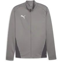 Puma teamGOAL Training Jacket
