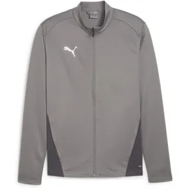 Puma teamGOAL Training Jacket