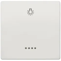 Siemens 5TG7146 DELTA style Wippe mit Fenster und Symbol Licht, titanweiß