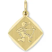 Sternzeichenanhänger ONE ELEMENT "Sternzeichen Anhänger aus 333 Gelbgold", gold, Schmuckanhänger, Damen, SchuetzeimSetmitHalskette, Steinbock, Gelbgold 333 Gold, Gelbgold 333, Gold, das perfekte Geburtstagsgeschenk für Frau und Mann