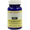 MSM 500mg GPH Kapseln