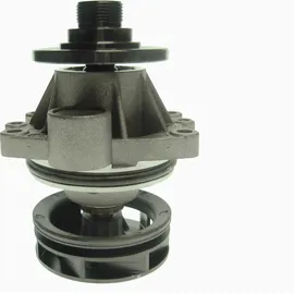 Saleri SIL Wasserpumpe PA659S