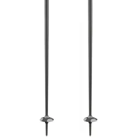 Salomon Polar Stöcke - Grey Violet - 110 cm